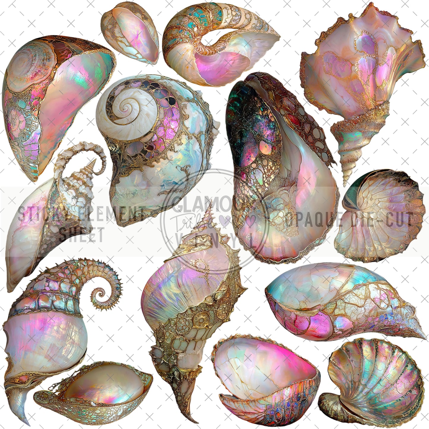 ETHEREAL WORLD SEASHELLS