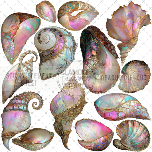 ETHEREAL WORLD SEASHELLS